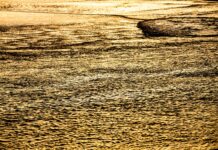 Residencia Para Inversores: ¿Cómo Aprovechar la Ley de Golden Visa?