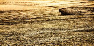 Residencia Para Inversores: ¿Cómo Aprovechar la Ley de Golden Visa?