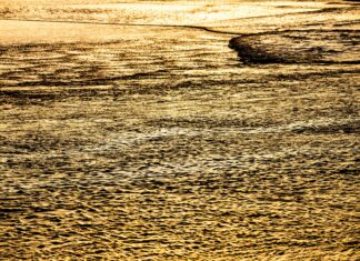 Residencia Para Inversores: ¿Cómo Aprovechar la Ley de Golden Visa?