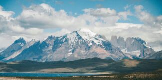 Bajas Médicas Y Protección Del Empleo: ¿Cómo Asegurar Tu Futuro?