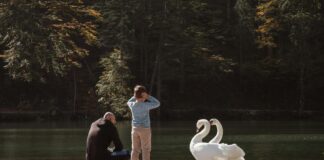 Contratos De Arras: ¿Qué Son Y Cómo Funcionan En El Mercado?