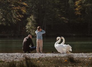 Contratos De Arras: ¿Qué Son Y Cómo Funcionan En El Mercado?