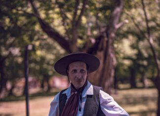 Uso Del Móvil Al Conducir: ¿Cuáles Son Las Multas Y Riesgos?