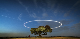 Cómo Solicitar La Residencia En España Paso A Paso: Guía Esencial