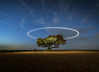 Cómo Solicitar La Residencia En España Paso A Paso: Guía Esencial