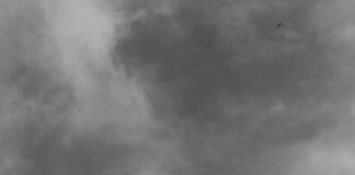 Pasos Para Aceptar O Rechazar Una Herencia: ¿Qué Debes Saber?