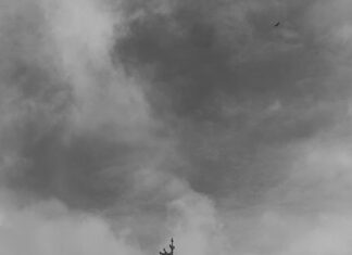 Pasos Para Aceptar O Rechazar Una Herencia: ¿Qué Debes Saber?