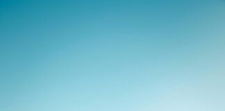 Sociedades Limitadas Vs. Autónomos: ¿Cuál Es La Mejor Opción?