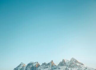 Sociedades Limitadas Vs. Autónomos: ¿Cuál Es La Mejor Opción?