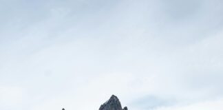 ¿ Cómo Afecta El Matrimonio A Los Derechos Hereditarios? Descúbrelo Aquí