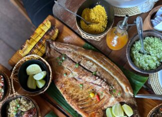 Permisos De Trabajo Para Extranjeros No Comunitarios: ¿Cómo Obtenerlos?