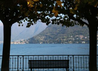 Contratos Abusivos: ¿Cómo Anularlos Legalmente y Protegerte?