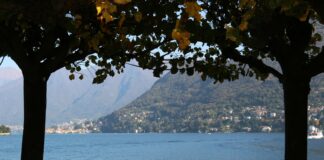 La Okupación: Cómo Actuar Legalmente y Proteger Tu Propiedad