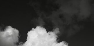 Devolución De Productos: Derechos Legales Que Debes Conocer