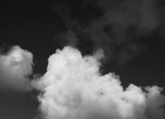 Devolución De Productos: Derechos Legales Que Debes Conocer