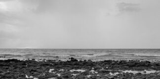 Reclamación De Deudas Comerciales: Estrategias Efectivas Para Éxito