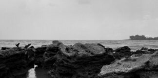 Proceso Penal Para Extranjeros En España: ¿Qué Debes Saber?