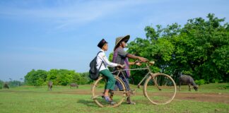 Auditorías Obligatorias: ¿Cuándo Aplican y Por Qué Son Clave?