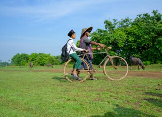 Auditorías Obligatorias: ¿Cuándo Aplican y Por Qué Son Clave?