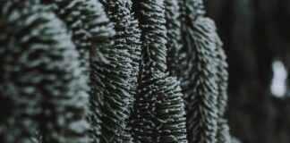 Fusiones Y Adquisiciones: ¿Cuál Es Su Importancia En El Marco Jurídico?