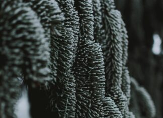 Fusiones Y Adquisiciones: ¿Cuál Es Su Importancia En El Marco Jurídico?