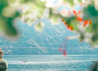 Cómo Reclamar Indemnización Por Accidente: Guía Esencial Para Tu Reclamo