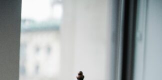 Delitos De Odio: Marco Legal Que Debes Conocer Para Protegerte