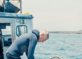 Herencias Internacionales En El Sistema Español: ¿Cómo Funcionan?