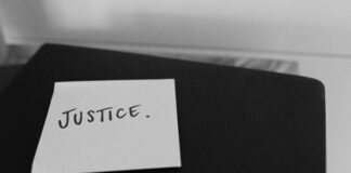 Pactos Entre Socios: ¿Por Qué Son Cruciales Para Tu Negocio?