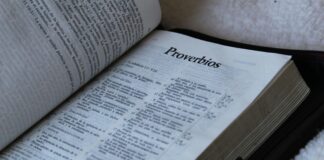 Diferencias Entre Escritura Y Registro De Propiedad Que Debes Conocer