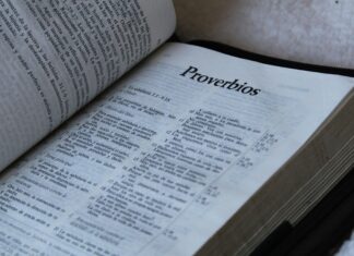 Diferencias Entre Escritura Y Registro De Propiedad Que Debes Conocer