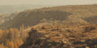 ¿Qué Derechos Tengo En Una Relación Laboral En Prácticas? Claves Esenciales Para Tu Éxito