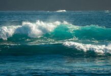 ¿Cómo Solicitar La Nacionalidad Por Carta De Naturaleza Efectivamente?