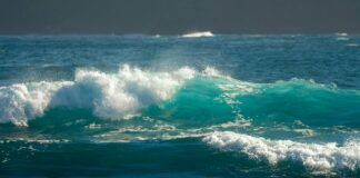 ¿Cómo Solicitar La Nacionalidad Por Carta De Naturaleza Efectivamente?