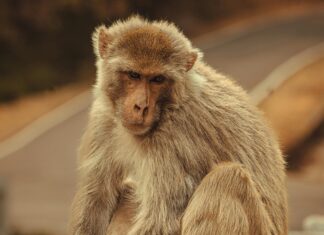 ¿Cómo Presentar Una Demanda De Divorcio? Guía Práctica y Efectiva