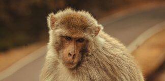 ¿Cómo Impugnar Una Cláusula De Rescisión? Descubre La Verdad Aquí