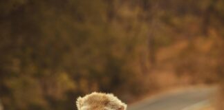 ¿Cómo Impugnar Una Cláusula De No Competencia Y Ganar Tu Caso?