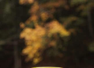 ¿Qué Implica El Derecho De Tanteo? Descubre Su Importancia Legal