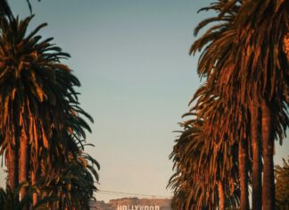 ¿Qué Implica La Custodia Compartida? Descubre Sus Beneficios Clave