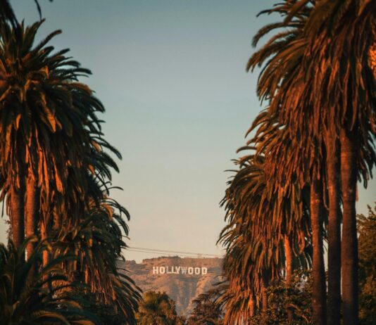 ¿Qué Hacer Si Me Niegan La Ayuda Por Dependencia? Soluciones Efectivas