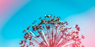 ¿Como Solicitar El Subsidio Por Desempleo? Descubre Los Pasos Clave