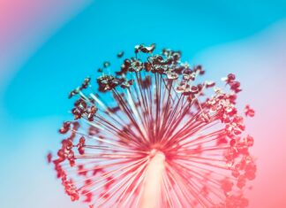 ¿Como Solicitar El Subsidio Por Desempleo? Descubre Los Pasos Clave